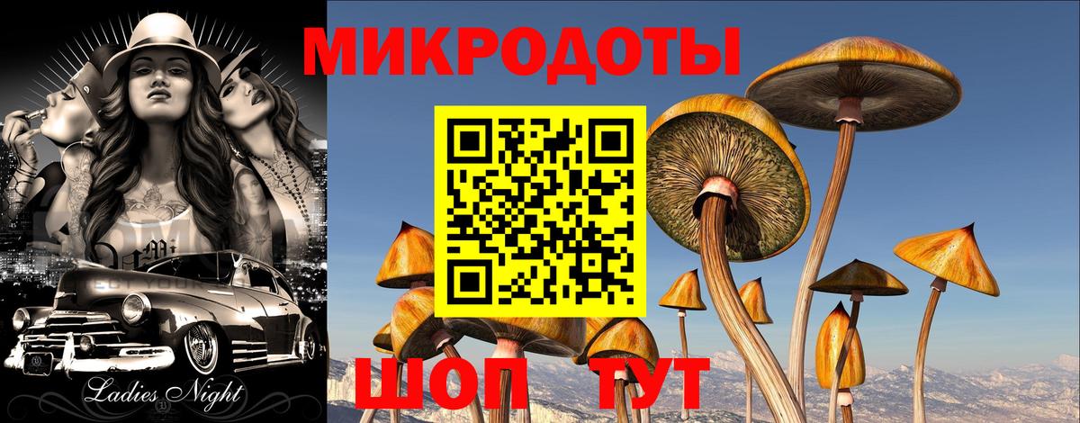 Ступино  Галлюциногенные грибы Psilocybe  Вход с VPN 