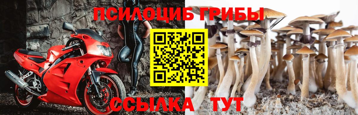 Галлюциногенные грибы мухоморы Ступино